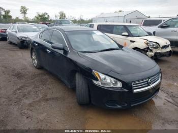  Salvage Nissan Maxima