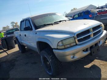  Salvage Dodge Dakota