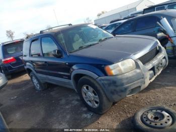  Salvage Ford Escape