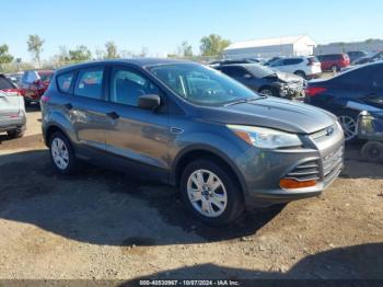  Salvage Ford Escape