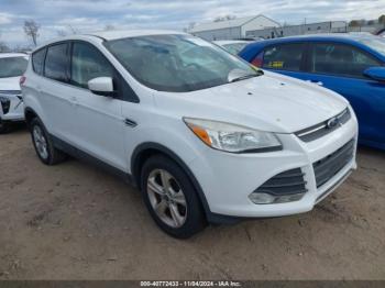  Salvage Ford Escape