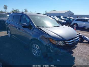  Salvage Honda Odyssey