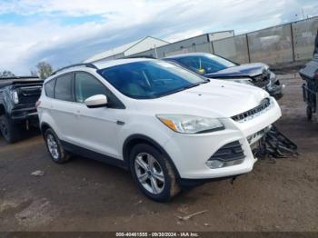  Salvage Ford Escape