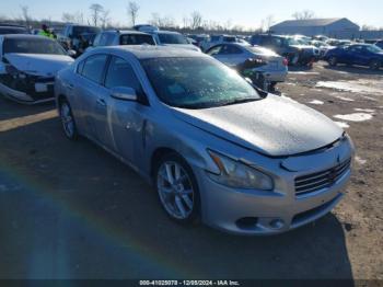  Salvage Nissan Maxima