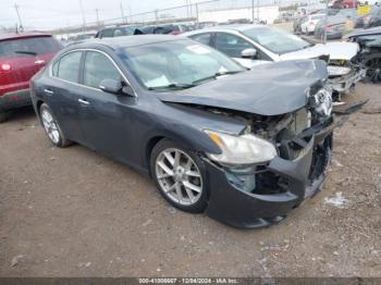  Salvage Nissan Maxima