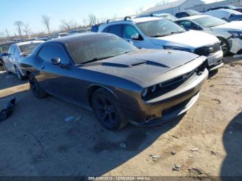  Salvage Dodge Challenger