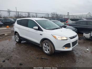  Salvage Ford Escape