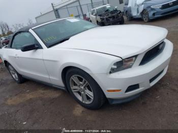  Salvage Ford Mustang