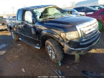  Salvage Ford F-150