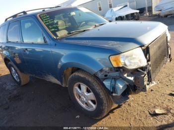  Salvage Ford Escape