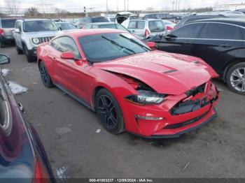  Salvage Ford Mustang