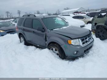  Salvage Ford Escape