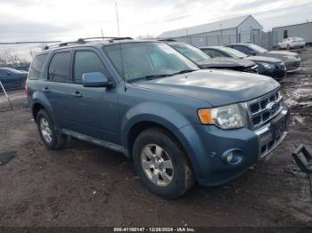  Salvage Ford Escape