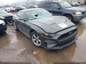  Salvage Ford Mustang