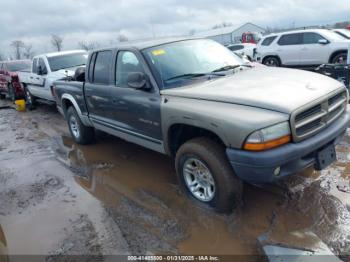  Salvage Dodge Dakota