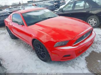  Salvage Ford Mustang