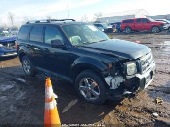  Salvage Ford Escape