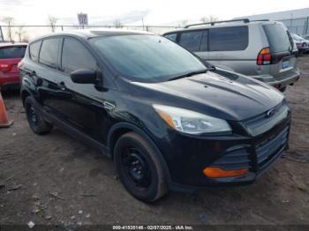  Salvage Ford Escape