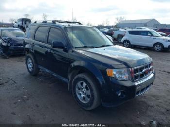  Salvage Ford Escape