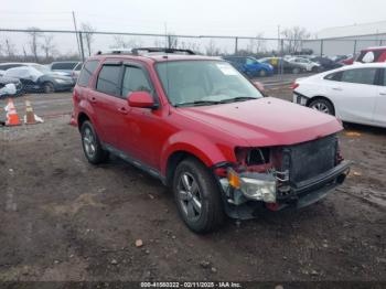  Salvage Ford Escape