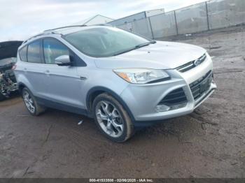  Salvage Ford Escape