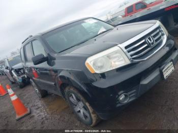  Salvage Honda Pilot