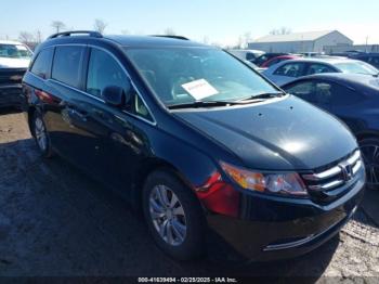  Salvage Honda Odyssey