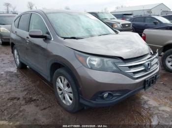  Salvage Honda CR-V