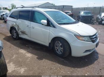  Salvage Honda Odyssey