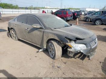  Salvage Nissan Maxima