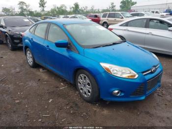  Salvage Ford Focus