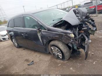  Salvage Honda Odyssey