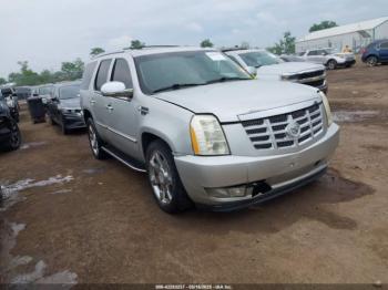  Salvage Cadillac Escalade