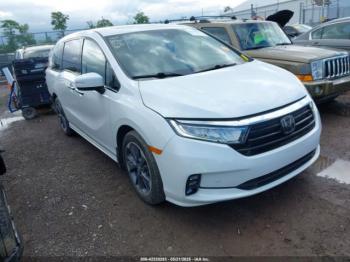  Salvage Honda Odyssey