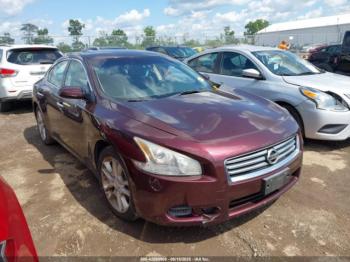  Salvage Nissan Maxima