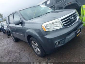  Salvage Honda Pilot
