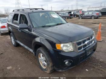  Salvage Ford Escape
