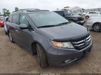  Salvage Honda Odyssey