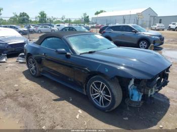  Salvage Ford Mustang