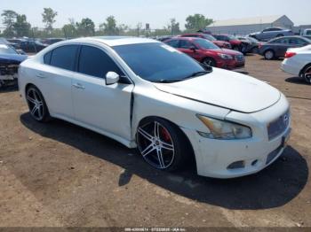  Salvage Nissan Maxima