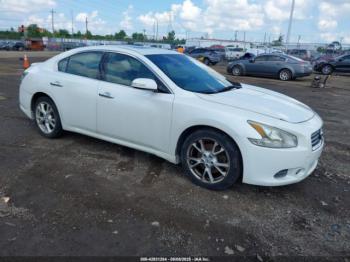  Salvage Nissan Maxima