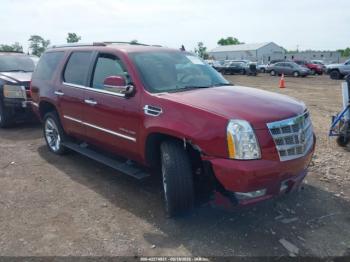  Salvage Cadillac Escalade
