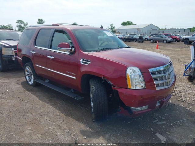  Salvage Cadillac Escalade