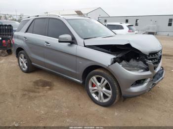  Salvage Mercedes-Benz M-Class