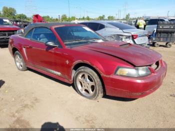  Salvage Ford Mustang
