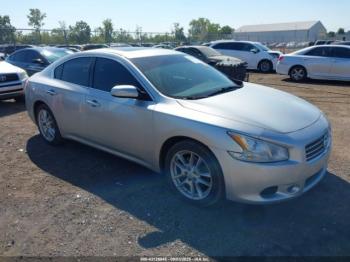  Salvage Nissan Maxima