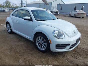  Salvage Volkswagen Beetle