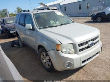  Salvage Ford Escape