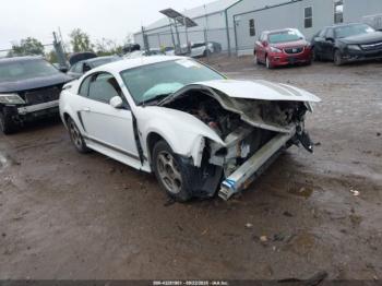  Salvage Ford Mustang