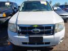 Ford Escape Xlt Image 9